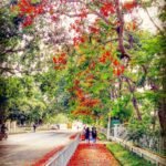 Indian Institute of Technology Guwahati