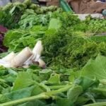 Dispur College Introduces Schemes for Transgender Students