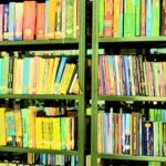 Nationwide Celebrations Mark Grand Opening of Ayodhya’s Ram Temple