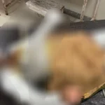 ACA Girls Under-15 Inter-District Cricket Tournament to Kick Off