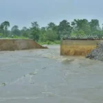 Paarl Royals sign Joe Root for 2025 season of SA20
