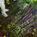 ‘Rong’ Wins 8 Awards Ahead of August 14 Release