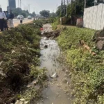 The down town school Hosts “Fun Fiesta Carnival”