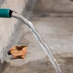 Residents of Bharalumukh Protest Tree-Cutting for Flyover Project