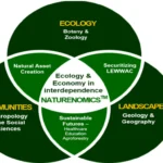 SSB Celebrates Magh Bihu with Residents of Old Age Home