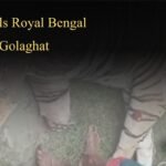 Asam Sahitya Sabha to Honour Mamang Dai with Lummer Dai Award