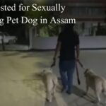 Guwahati Municipal Corporation Now Opposition-Free as AAP Councillor Joins BJP