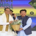 Assamese Actor Nandini Kashyap Questioned in Hit-and-Run Case