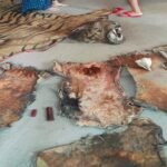 Project Brahmank Launches Month-Long Swachhata Abhiyan on Gandhi Jayanti