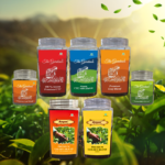 Telangana Governor to Inaugurate NIRI9 International Film Festival